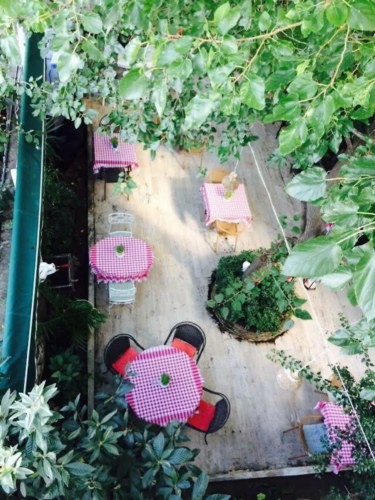 Tay Pansiyon Bodrum Bed & Breakfast