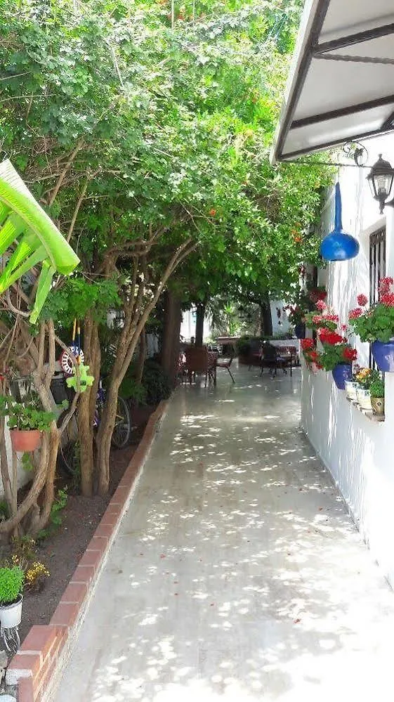 Tay Pansiyon Bodrum Bed & Breakfast