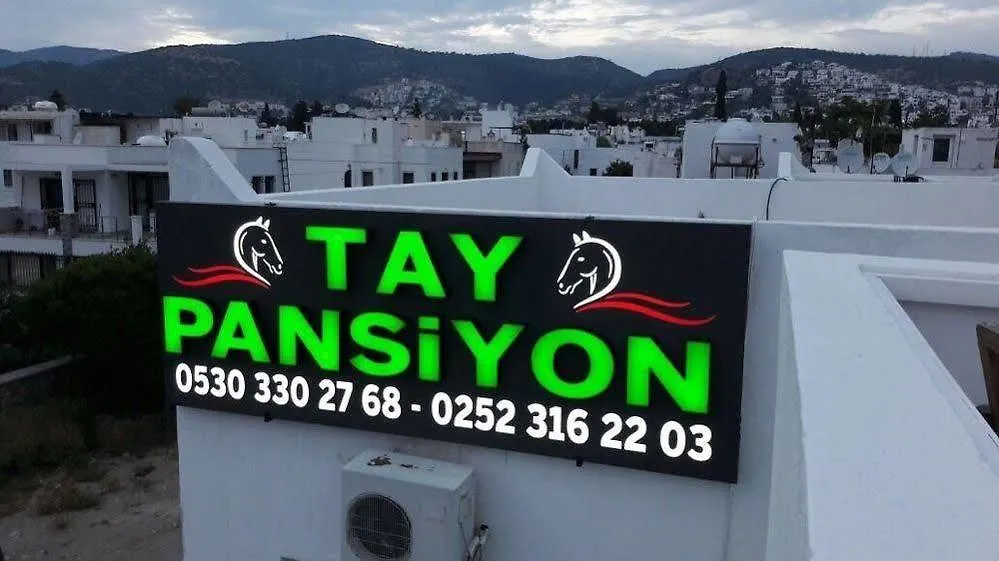 Nocleg ze śniadaniem Tay Pansiyon Bodrum