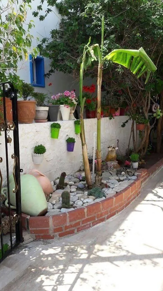 Tay Pansiyon Bodrum Bed & Breakfast